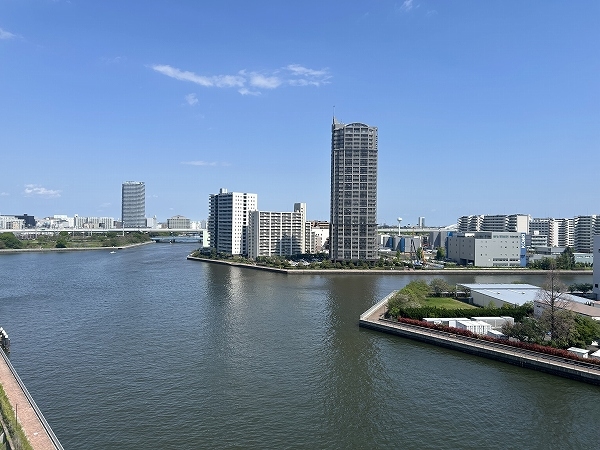 辰巳方面の運河も望めます