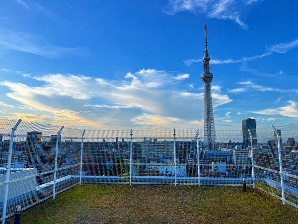 屋上の芝生広場