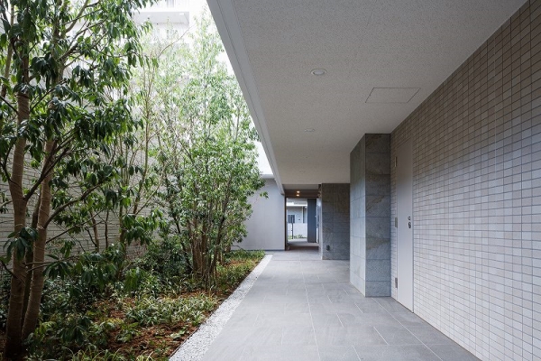 共用廊下は植栽があり落ち着いた雰囲気を演出（※竣工時写真）