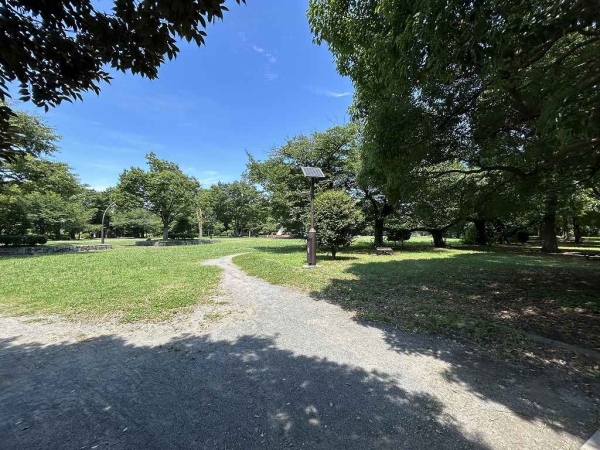 亀戸中央公園まで約590ｍ