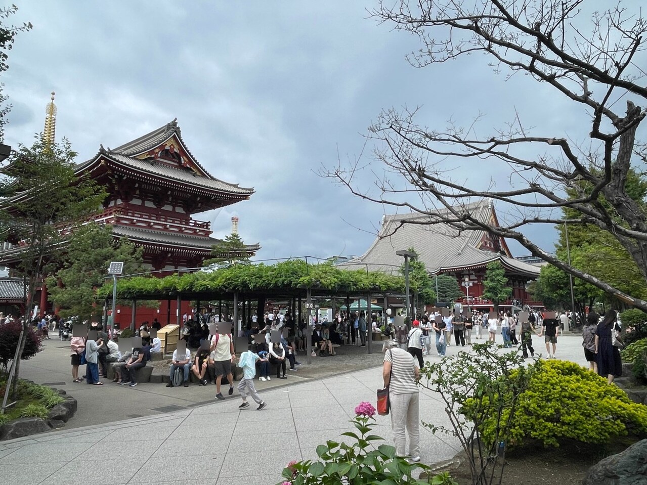 【浅草寺】徒歩5分。都内最古の寺で、毎年多くの参拝者が訪れる人気の観光地。雷門から宝蔵門まで続く約250mの参道で、名物グルメを食べ歩きできるところも魅力です。