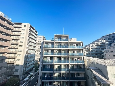 2024年12月撮影