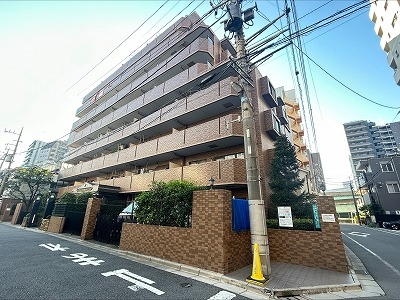2024年12月撮影
