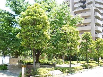都心にもかかわらず自然を感じられる中庭