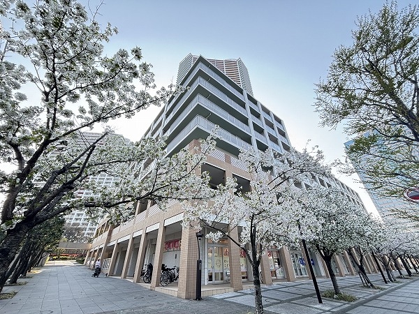 敷地内は春に桜が咲き、心地よい空間です。
