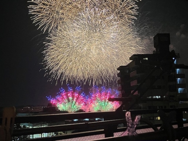 とりで利根川大花火がバルコニーから一望できます