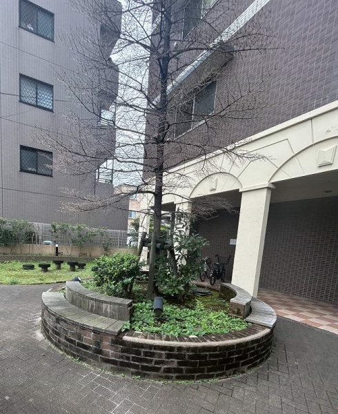 敷地内に緑が広がっております