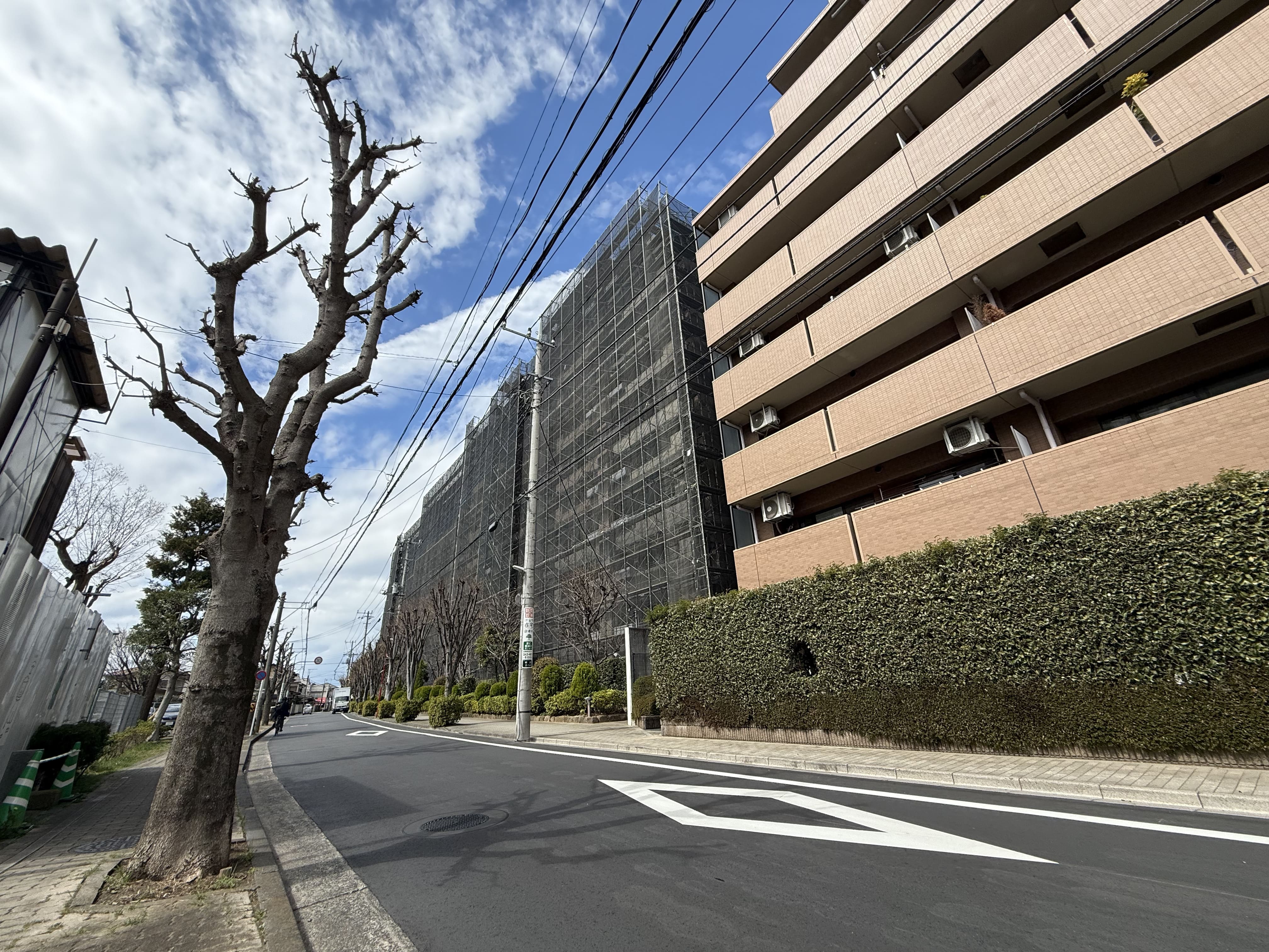 【現地外観写真】徒歩圏内に、大きな公園があります。利便性がありながら、自然を身近に感じることのできるロケーションです。