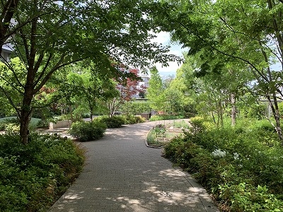 ベジタブルガーデンに続く中庭の小道