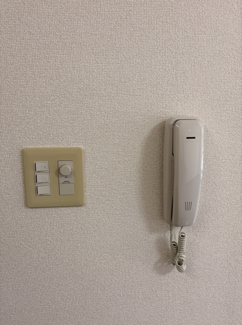 【その他内観】照明スイッチと受話器タイプのインターホンが設置されています。