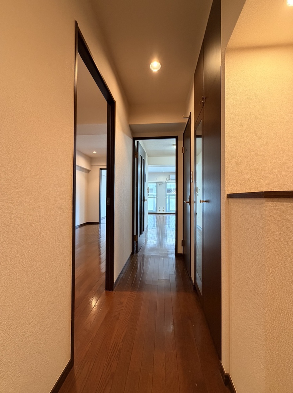 【廊下】LDKへと続く玄関廊下です。洗面所・トイレ・洋室・LDKへの出入りが可能。収納横にはカウンターが備わっており、小物や写真などを飾れます。