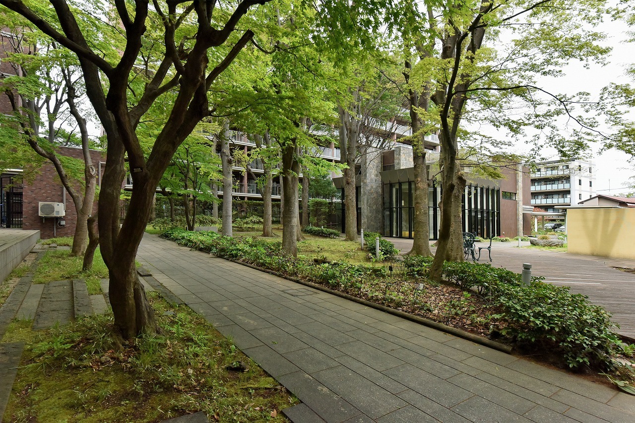 【共用部】緑豊かな敷地内には、駐輪場やバイク置き場が設けられています。※最新の空き状況・利用料金など、詳細につきましてはお問い合わせくださいませ。