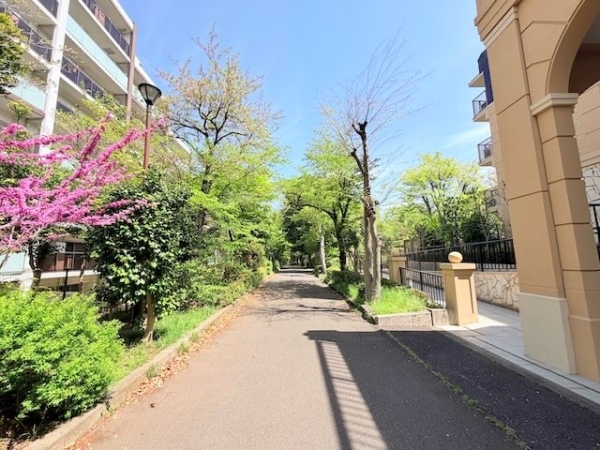 多摩モノレール「松が谷」駅まで遊歩道を歩いてアクセス可能です