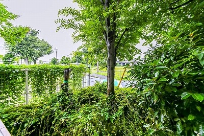 専用庭で開放的な景色を楽しめます