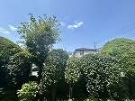 バルコニーからの眺望写真となります