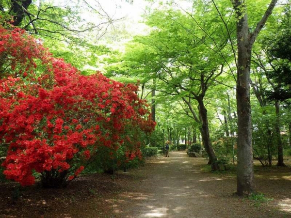 浴恩館公園