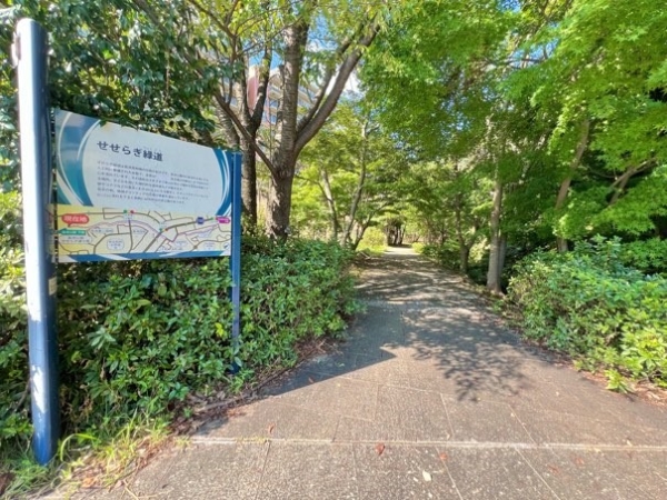 お散歩コースにぴったりな四季を感じられるせせらぎ緑道