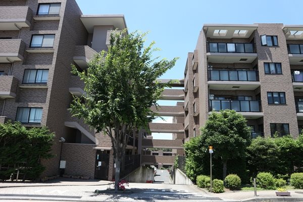 緑豊かな住環境。