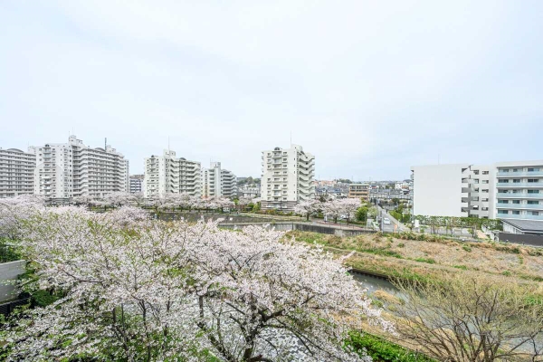 眺望　春は桜が見れます
