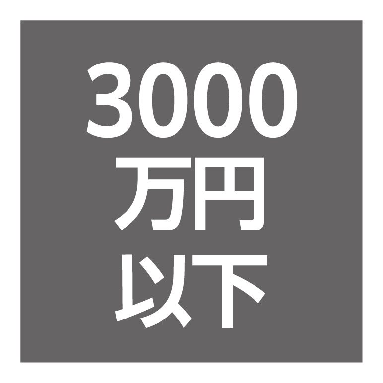 3000万円以下