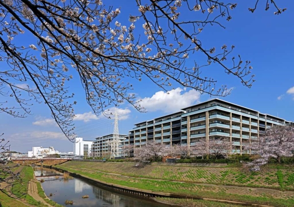 2021年築、総戸数439戸のビッグコミュニティ