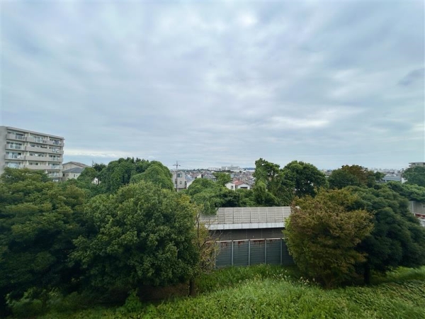 南東側バルコニーからの眺望