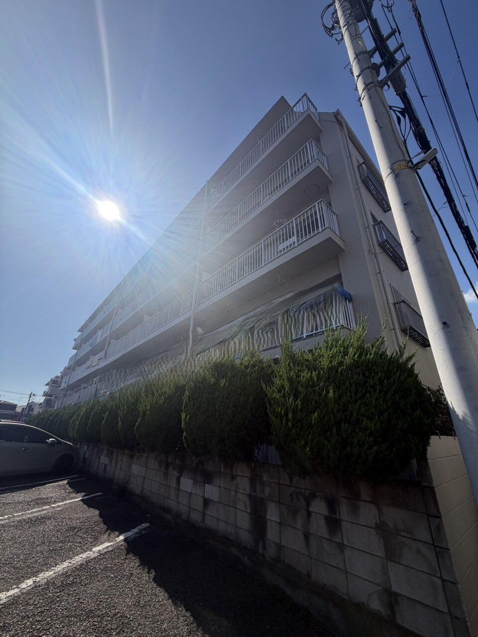 【現地外観写真】バルコニー側に位置する駐車場との間には、植栽が施されています。駐車場の利用者から、室内が見えにくくなっています。