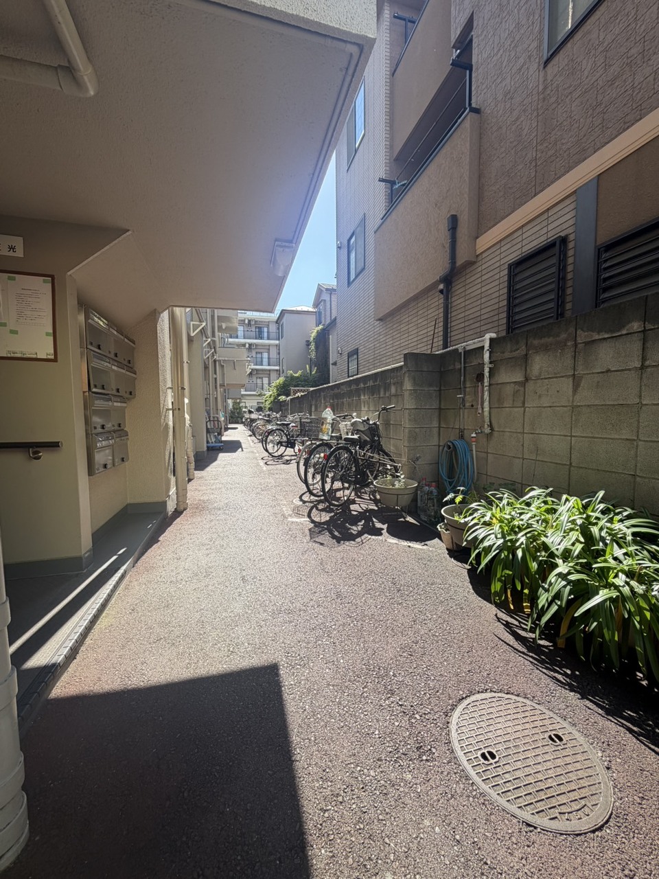 【共用部】集合ポストは屋根付きなので、雨の日も濡れずに中を確認することができます。敷地内に駐輪場が設けられています。空き状況等、お問い合わせください。