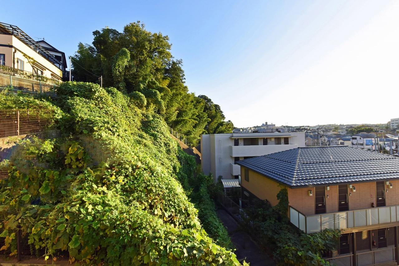 前面に緑が広がる穏やかな景観。周囲からの視線も気になりにくく、静かで落ち着いた住環境です。
