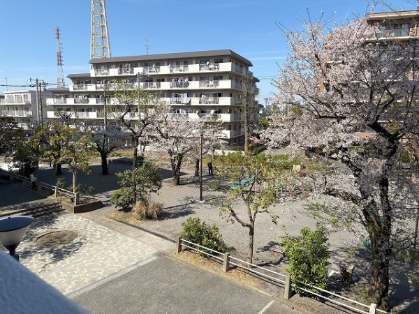 春は公園の桜がご覧いただけます！