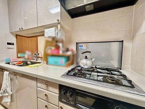 浄水器を採用したシステムキッチン