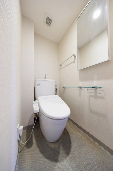 トイレには鏡を備え、日常使いにも配慮されています