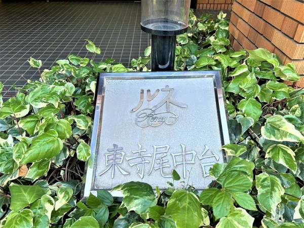 （2026年5月撮影）