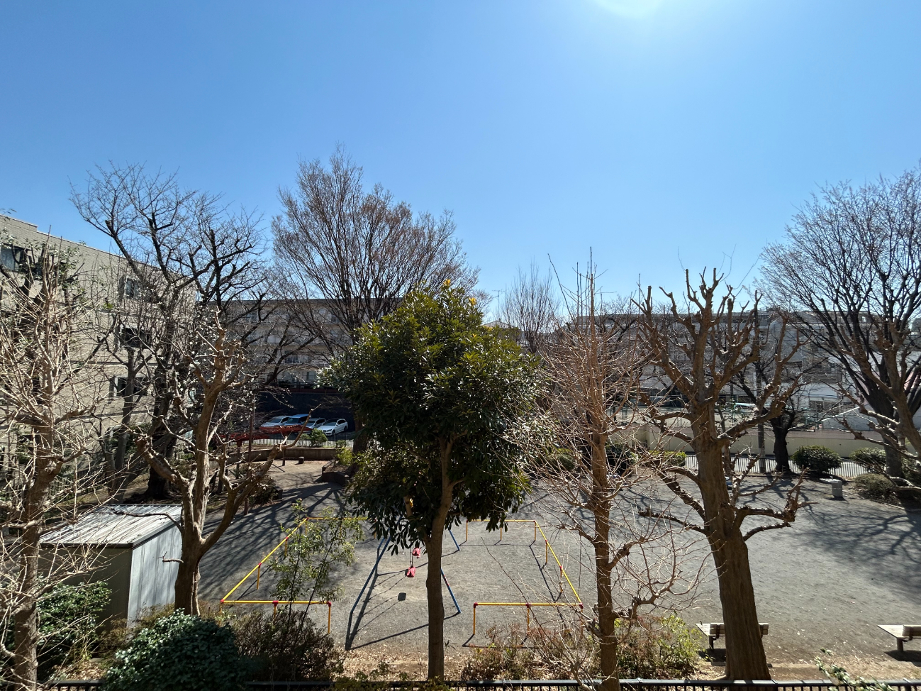 【住戸からの眺望写真】バルコニーの前に桜の木があり、春にはお花見を楽しむことができます。※眺望は将来に渡って保証するものではありません。