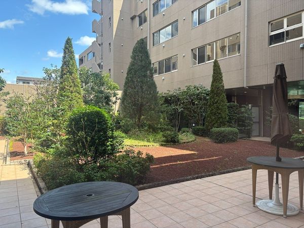 サンクチュアリ他