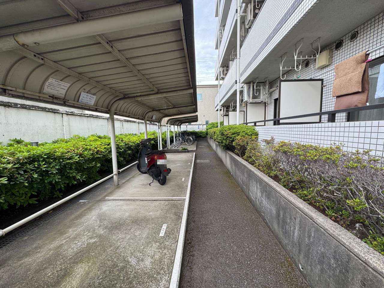 【バイク置き場・駐輪場】綺麗に整頓されています。雨風や汚れが気になりにくい屋根付きです。