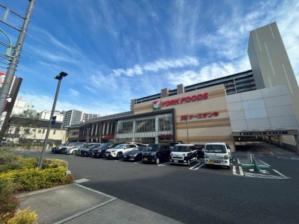 ヨークフーズ厚木店（約600ｍ）