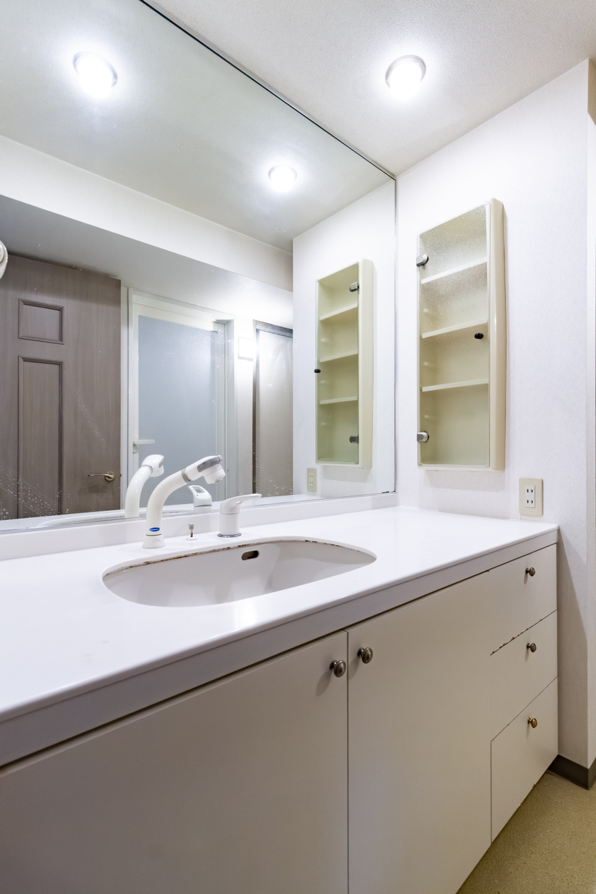 シャワー付き洗面化粧台。下部や横に収納スペースがたっぷりあります。