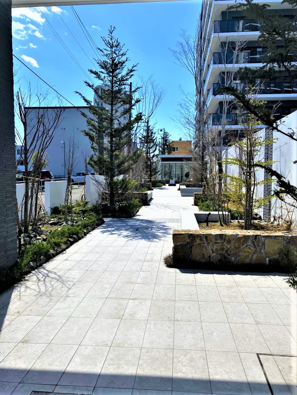 エントランスまでの通路は植栽で季節を感じることができます