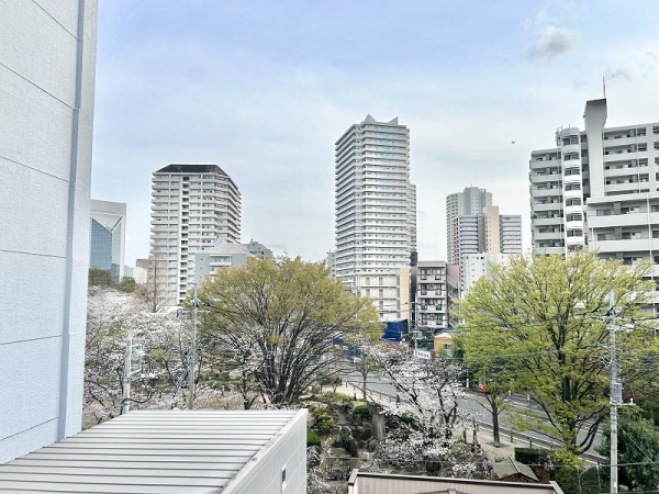 春にはバルコニーから桜を見ることもできます。