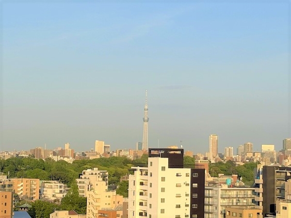 スカイツリーを望む眺望（天候による）