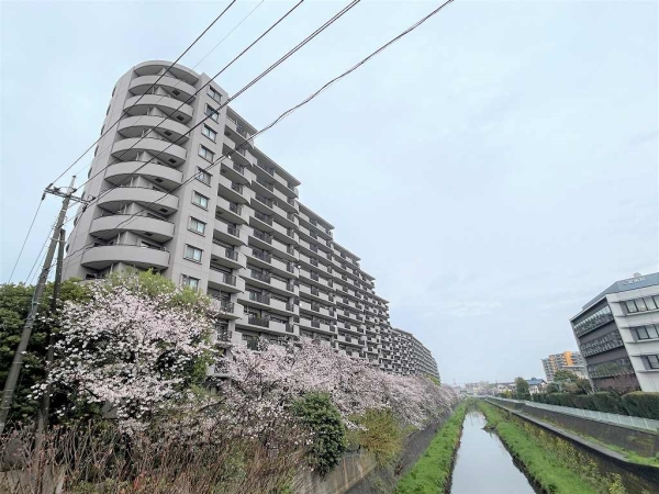 総戸数359戸のビックコミュニティ、管理体制も良好です。