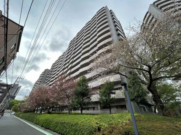 クリオ ラベルヴィ武蔵小杉カルム