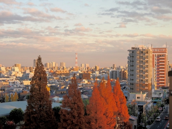 バルコニーからの眺望