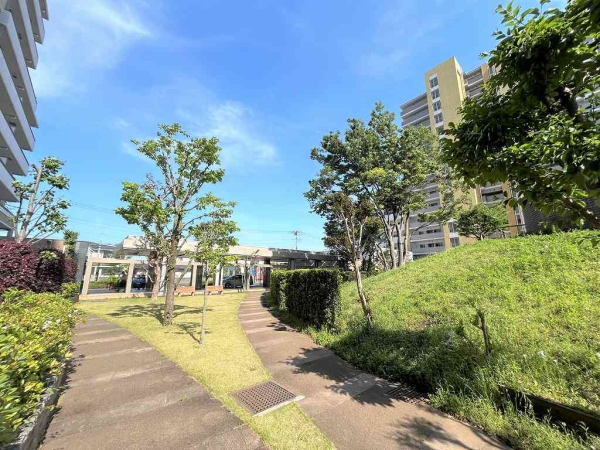 中庭（パティオ）