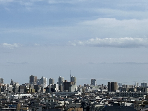 晴れている日にはマンションの屋上からスカイツリーが望めます