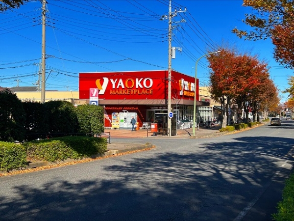 ヤオコー新白岡店徒歩１２分（約１１００ｍ）