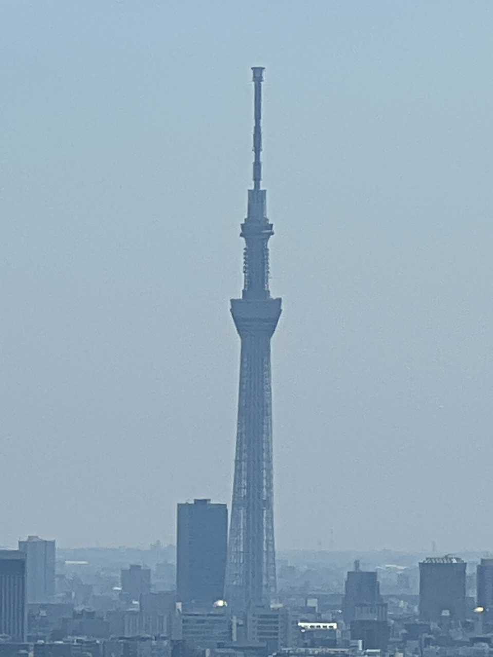 【住戸からの眺望】天候によって、スカイツリーを望むことができます。商業地域内に位置しており、都心ならではの景色も魅力です。※眺望は将来にわたって保証するものではありません。