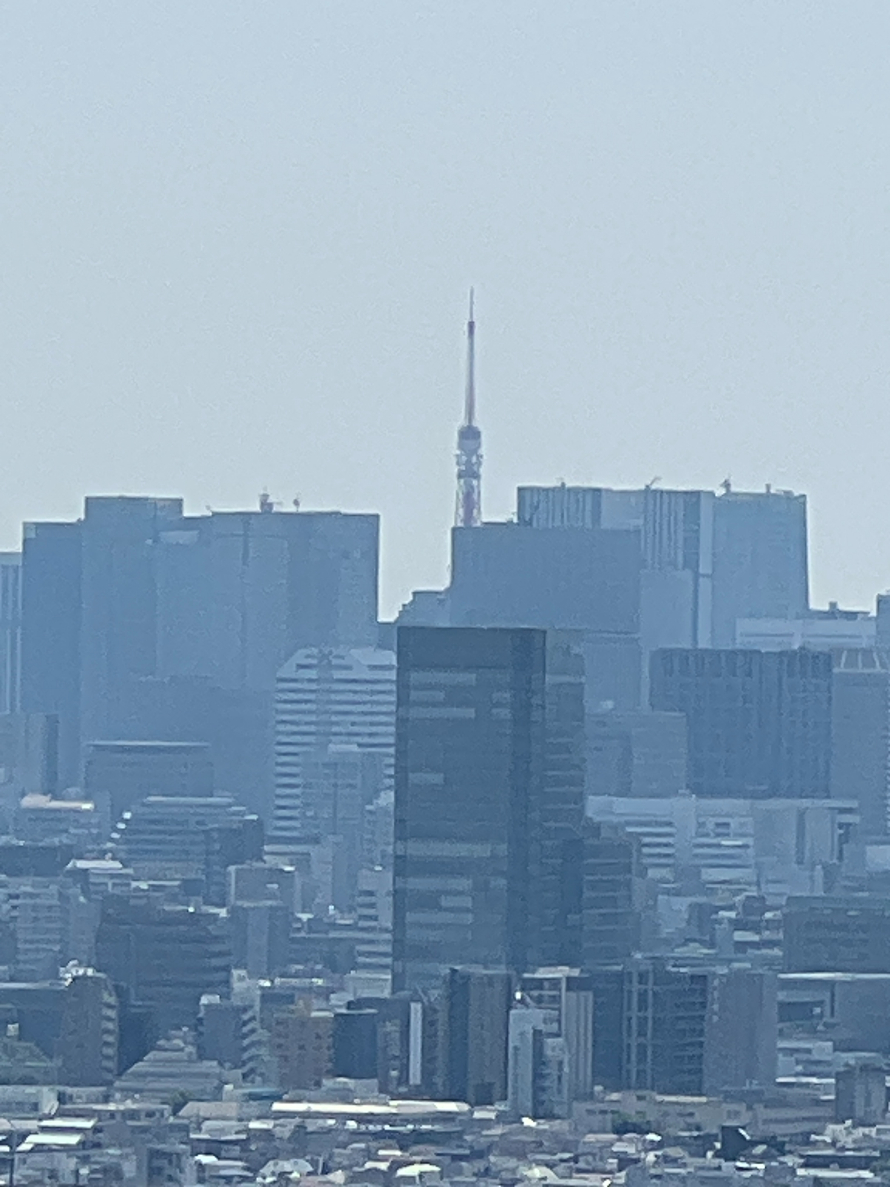 【住戸からの眺望】住戸から撮影した、東京タワー上層の様子。夜景を楽しむこともできそうです。※眺望は将来にわたって保証するものではありません。