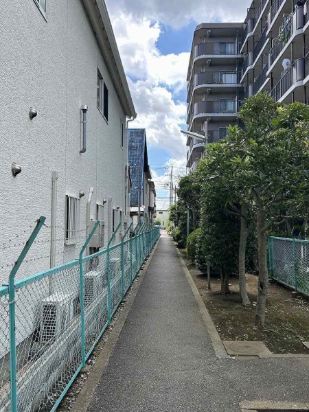 敷地内は随所に植栽が配され、潤いを演出しています。